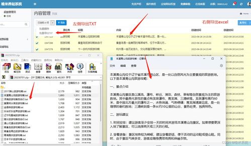 網(wǎng)站排名監(jiān)控的常見挑戰(zhàn) 應(yīng)對(duì)搜索引擎算法變化
